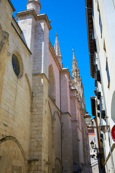 Burgos sposób do katedry Saint James drodze — Zdjęcie stockowe