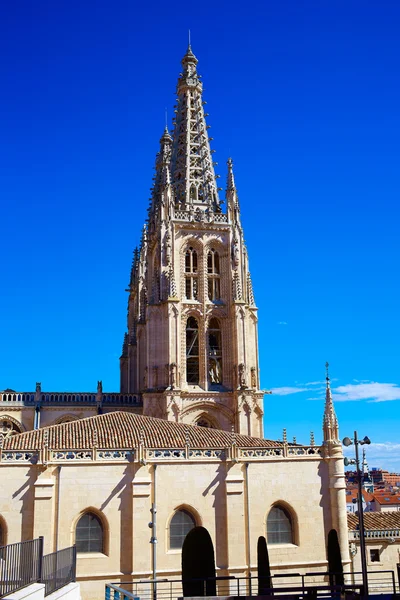 Gevel van de kathedraal van Burgos in Saint James manier — Stockfoto