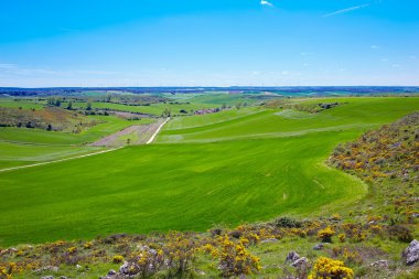 Atapuerca Saint James yol çapraz Burgos için