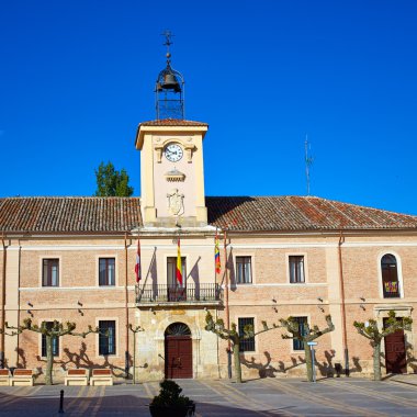 Leş de los Condes Saint James yolu