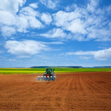 Yol Saint James Castilla tarafından tahıl alanları