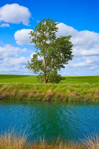 Canal de Castilla kanał drodze Saint James — Zdjęcie stockowe