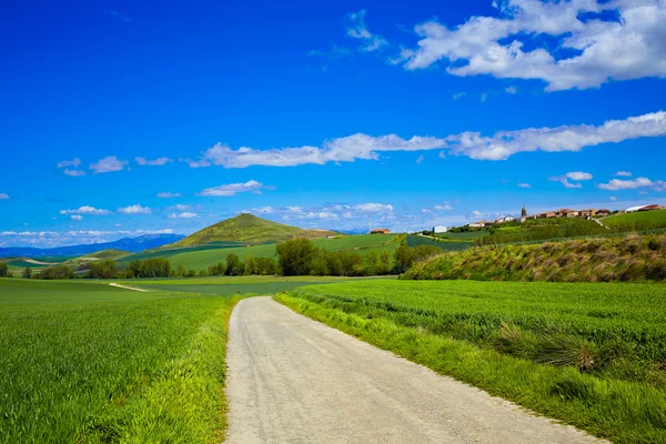 Campos de cereales por El Camino de Santiago en Castilla — Foto de Stock