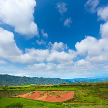 Saint James Dünya Haritası içinde yol çimen Cirauqui