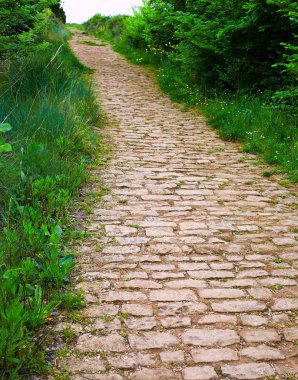 Saint James Dünya Haritası çim Cirauqui yol