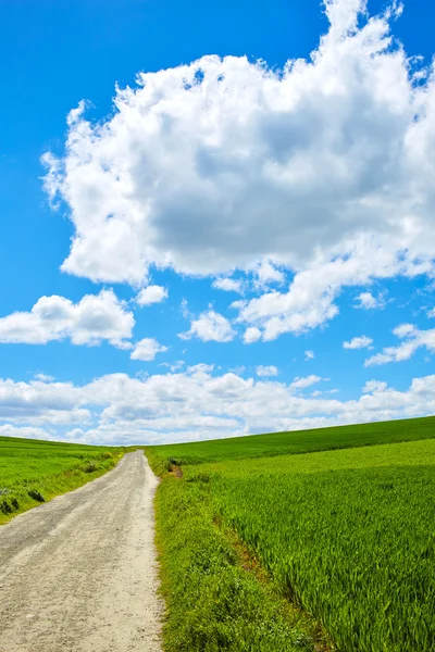 Yol Saint James Castilla tarafından tahıl alanları