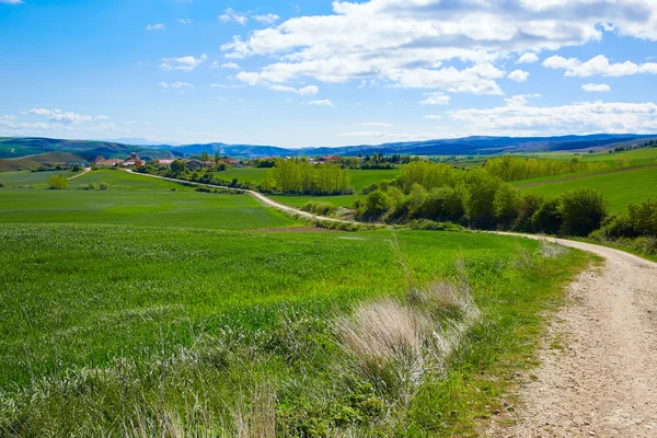 Зернові поля за допомогою шлях Saint James в Castilla — стокове фото