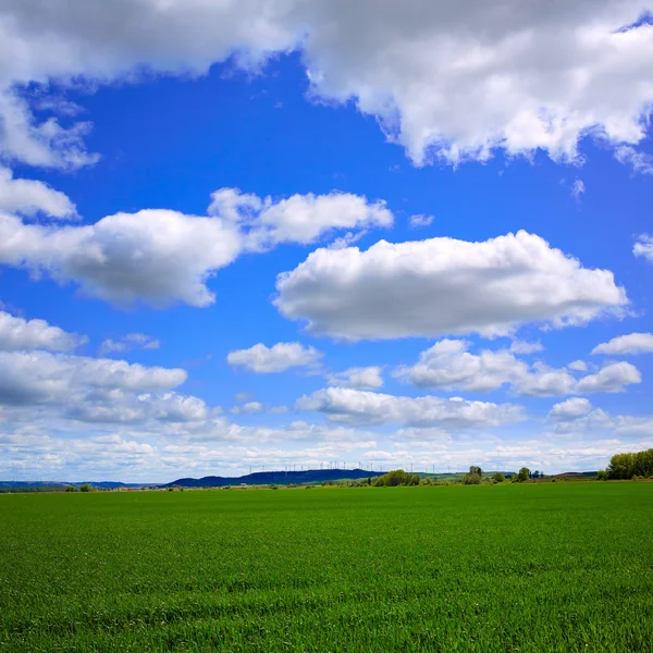 Campi di cereali La Via di San Giacomo Castiglia Leon — Foto Stock