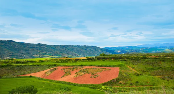 Way of Saint James world map in grass Cirauqui — Stock Photo, Image