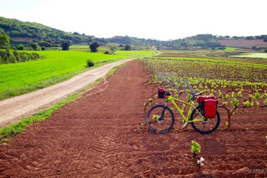 La Rioja bağ alanları Saint James yolunda