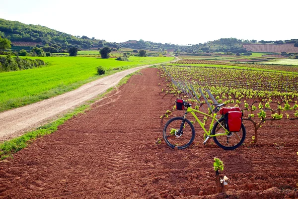 Campos de vinha La Rioja no Caminho de São Tiago — Fotografia de Stock