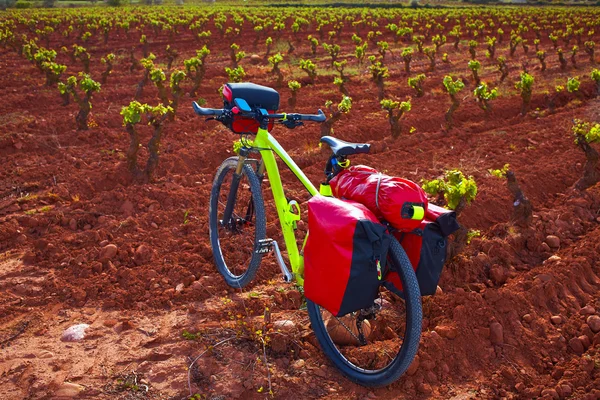 La Rioja vigneto bici Il Cammino di San Giacomo — Foto Stock
