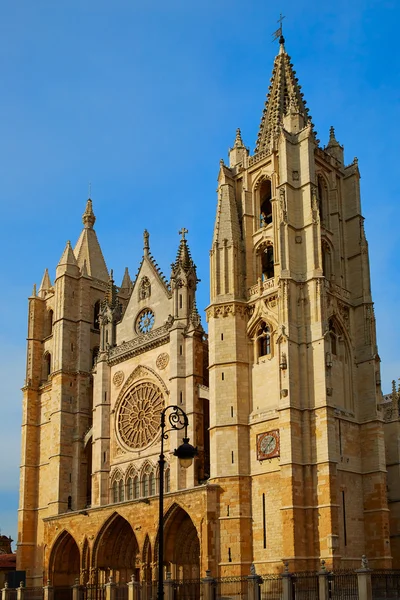 Kathedraal van Leon in Castilla at Spanje — Stockfoto