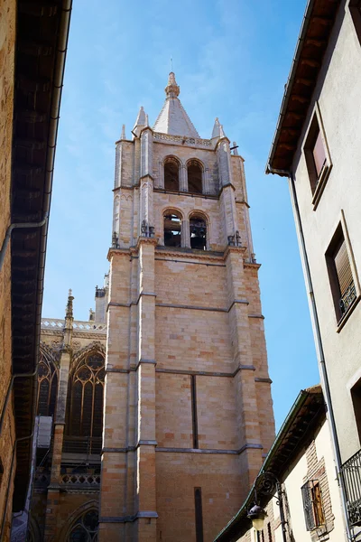 Catedral de Leão em Castela — Fotografia de Stock