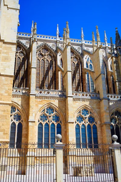 Domkyrka av Leon i Castilla på Spanien — Stockfoto