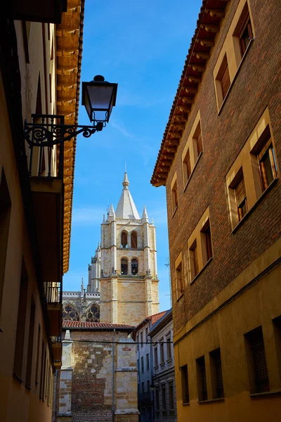 Catedral de Leão em Castela, Espanha — Fotografia de Stock