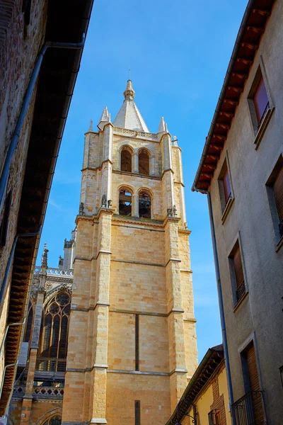 Kathedrale von Leon in Kastilien in Spanien — Stockfoto
