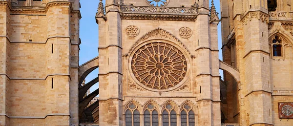 Domkyrka av Leon gotiska rosett i Castilla — Stockfoto