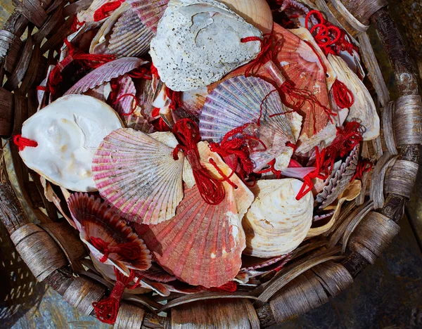 O Cebreiro por el camino de Santiago en Galicia — Foto de Stock