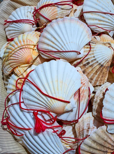 O Cebreiro por el camino de Santiago en Galicia — Foto de Stock