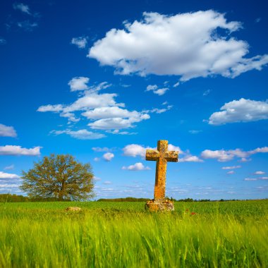 Saint James yol çapraz Palencia tahıl alan
