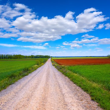 Saint James bitmeyen Palencia, yol