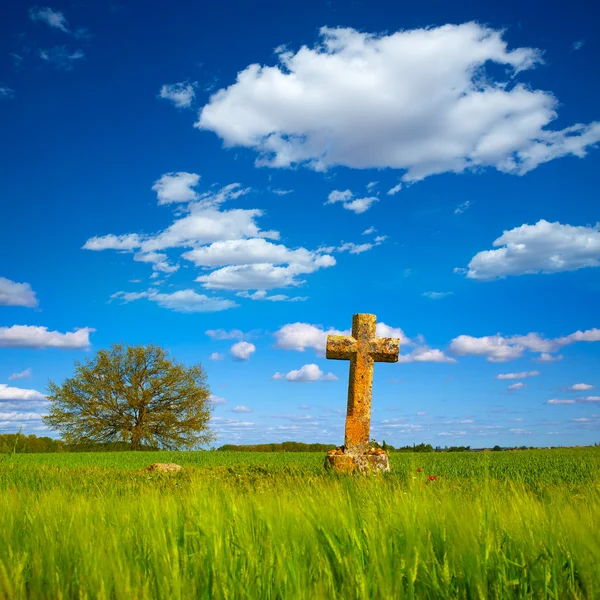 The Way of Saint James cross Palencia cereal field — Stock Photo, Image
