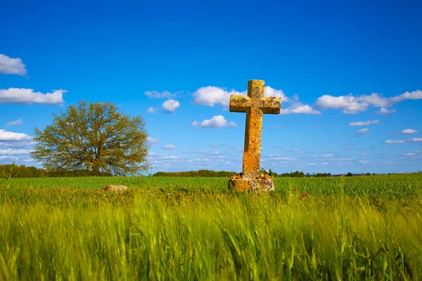 O Caminho de São Tiago atravessa o campo de cereais de Palencia — Fotografia de Stock