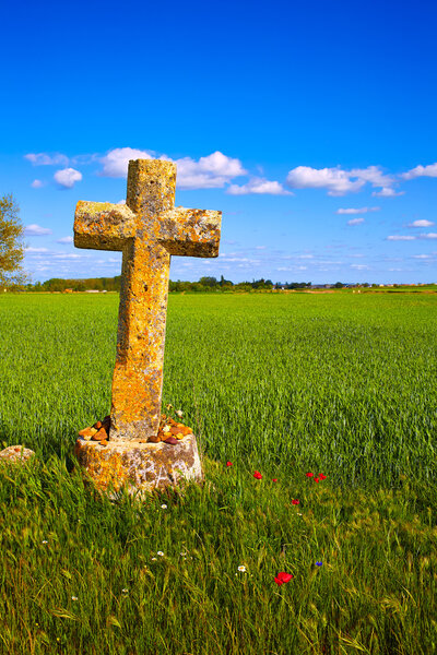 The Way of Saint James cross Palencia cereal field