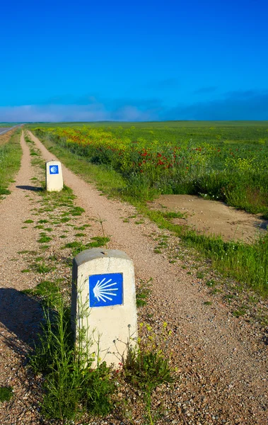 Chemin de saint Jacques avec des champs de panneaux de coquille Palencia — Photo