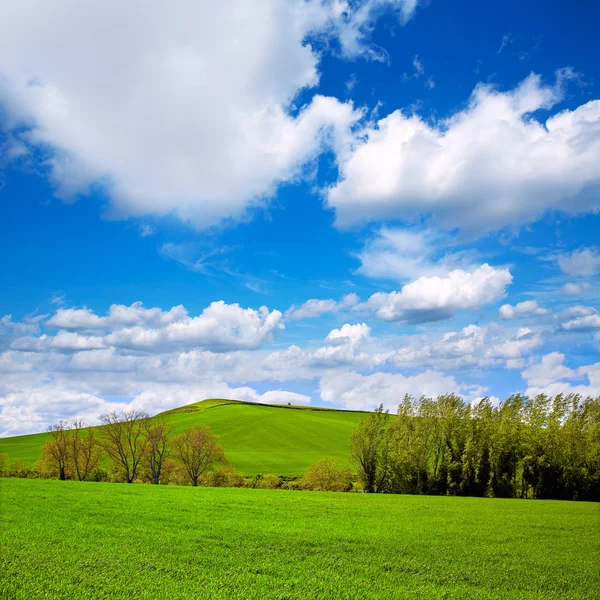 Campos de cereales por El Camino de Santiago en Castilla —  Fotos de Stock