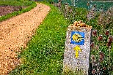 The Way of Saint James shell sign and arrow clipart