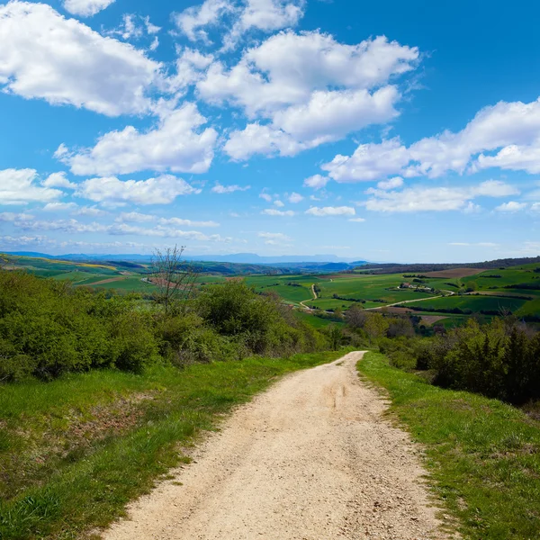 Montes de Oca śledzić przez sposób Saint James — Zdjęcie stockowe