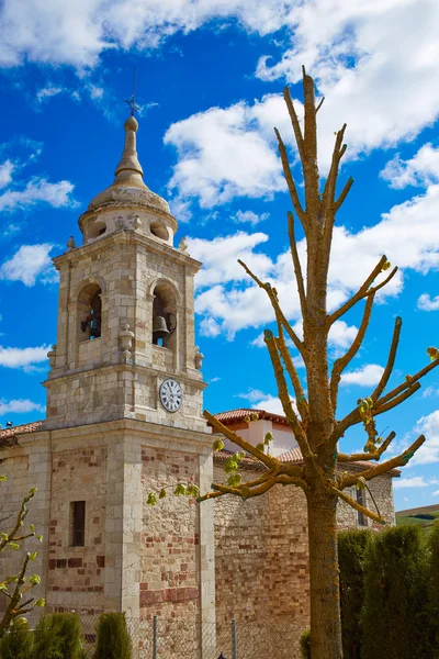 Saint James Villafranca Montes de Oca yolu — Stok fotoğraf