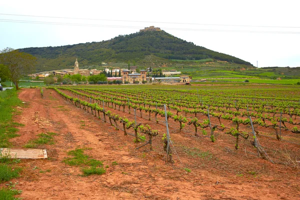 Villamayor de Monjardin w sposób Saint James — Zdjęcie stockowe