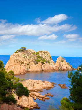 Aigua Xelida beach Cala Tamariu Parafrugell içinde