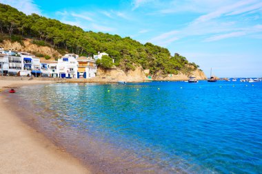 Costa Brava Parafrugell Beach'te Badia de Tamariu 