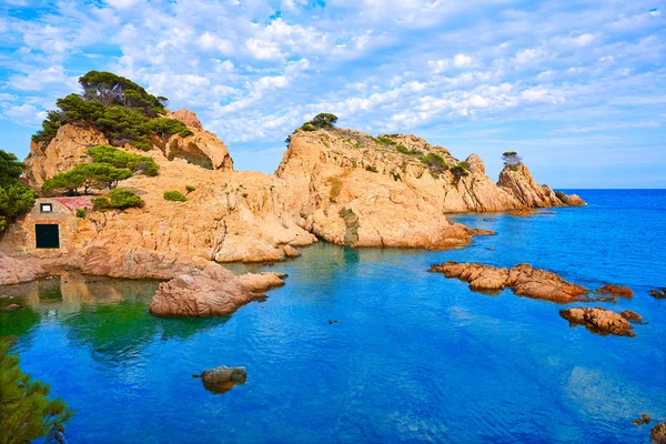 Spiaggia di Aigua Xelida Cala in Tamariu Parafrugell — Foto Stock