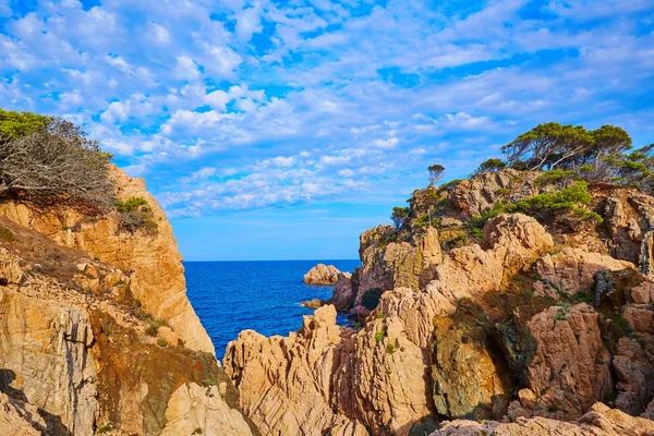 Aigua Xelida beach Cala Tamariu Parafrugell içinde — Stok fotoğraf