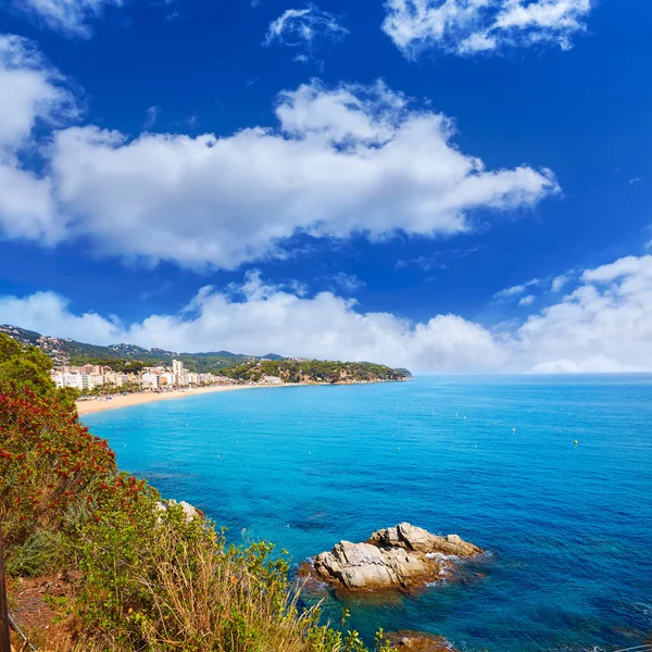 Costa Brava plaży Lloret de Mar Hiszpania Katalonia — Zdjęcie stockowe