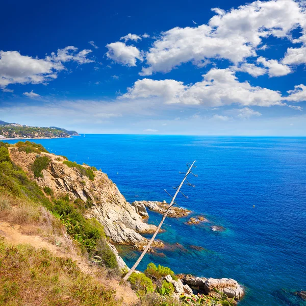 Costa Brava playa Lloret de Mar Cataluña España — Foto de Stock