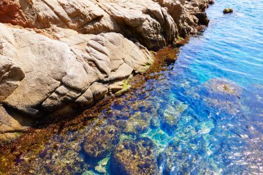 Costa Brava beach Lloret de Mar Katalonya İspanya