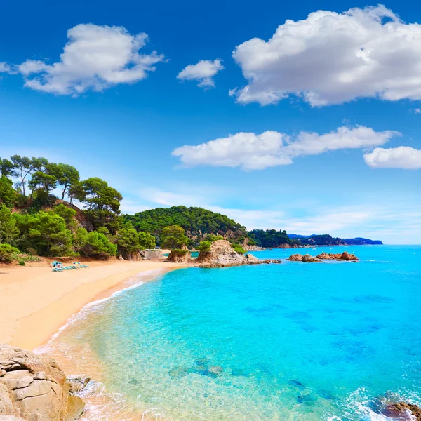 Cala Treumal plaży Lloret de Mar Costa Brava — Zdjęcie stockowe