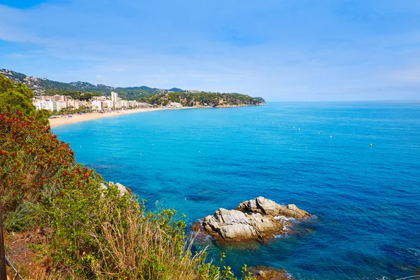 Costa Brava plaży Lloret de Mar Hiszpania Katalonia — Zdjęcie stockowe