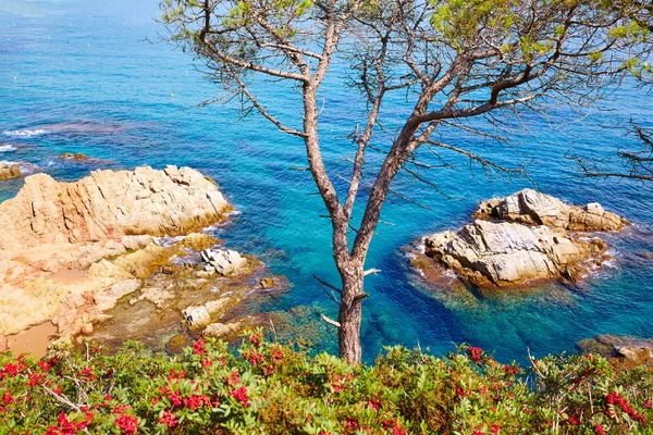 Costa Brava strand Lloret de Mar, Catalonië Spanje — Stockfoto