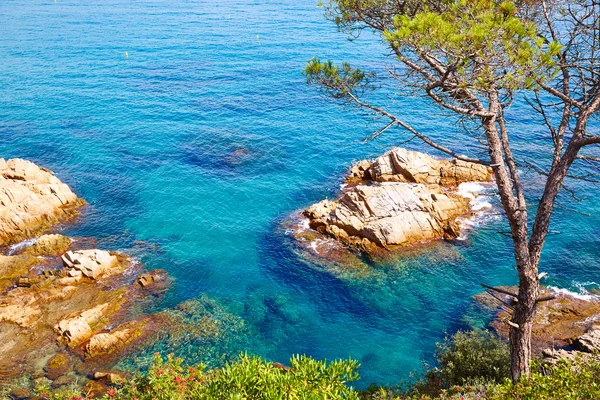 Costa Brava beach Lloret de Mar Katalonya İspanya — Stok fotoğraf