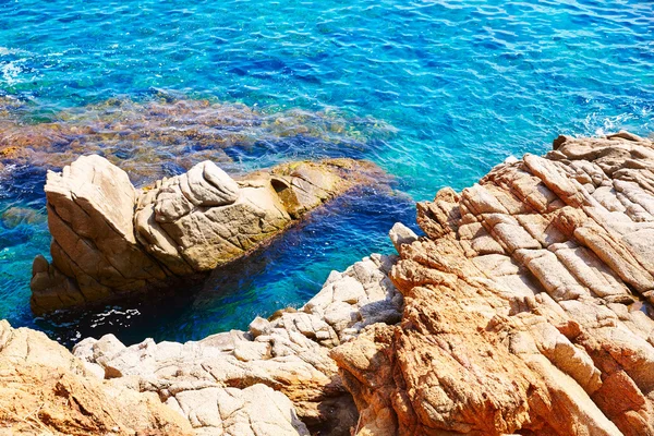 Costa Brava playa Lloret de Mar Cataluña España — Foto de Stock