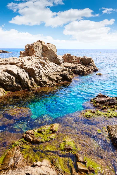 Praia da Costa Brava Lloret de Mar Catalunha Espanha — Fotografia de Stock