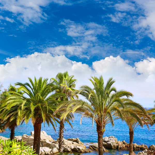 Costa Brava playa Lloret de Mar Cataluña España — Foto de Stock