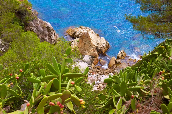 Costa Brava playa Lloret de Mar Cataluña España — Foto de Stock